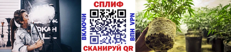 ссылка на мегу ONION  Сафоново  Шишки марихуана Ganja  наркотики 